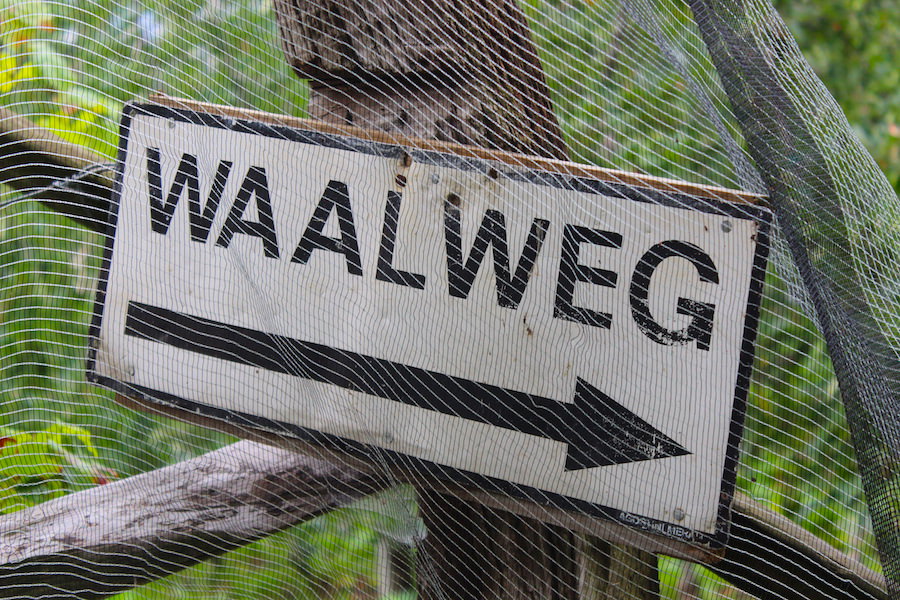 Waalwege Südtirol - Waalweg generell