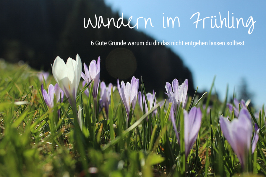 Wandern im Frühling - Warum du das nicht verpassen darfst