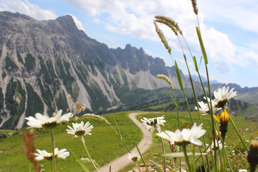 Vom Neunerköpfle zur Sulzspitze in Tirol - Bergpanorama