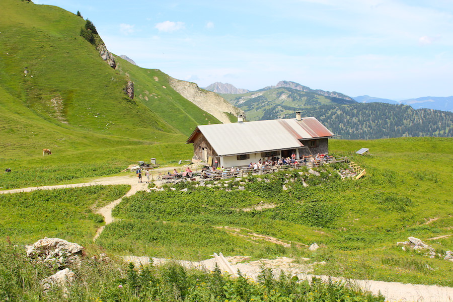 Vom Neunerköpfle zur Sulzspitze in Tirol - Gappenfeldalm nah