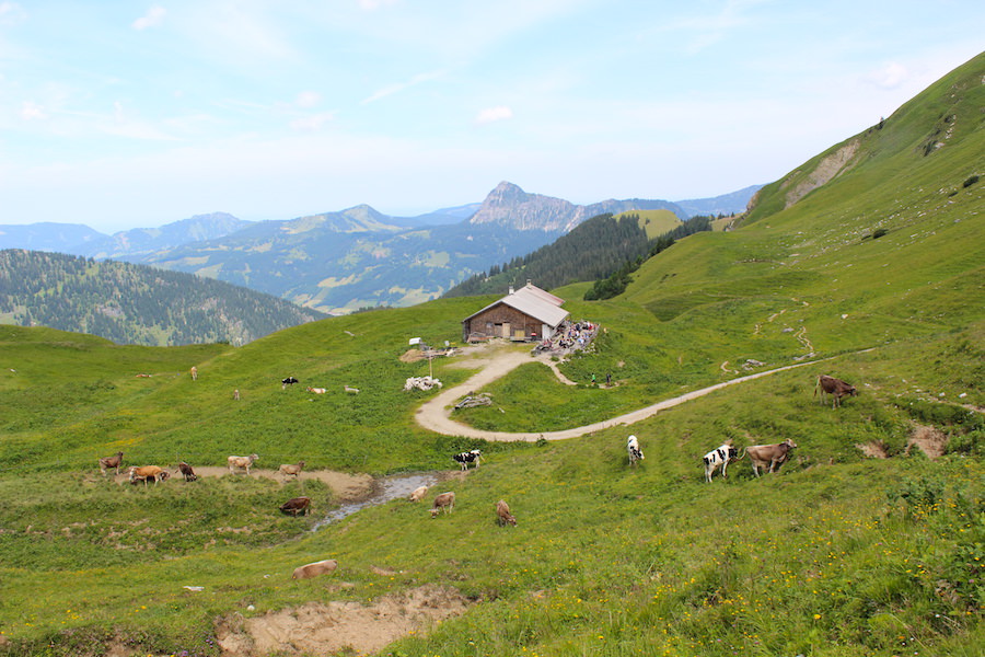 Vom Neunerköpfle zur Sulzspitze in Tirol - Gappenfeldalm weit