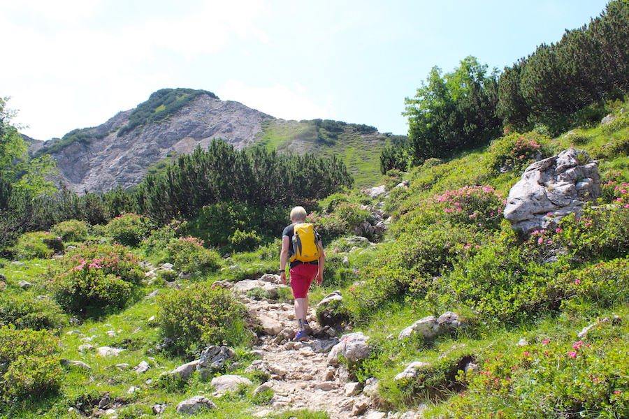 Vom Neunerköpfle zur Sulzspitze in Tirol - Klettern