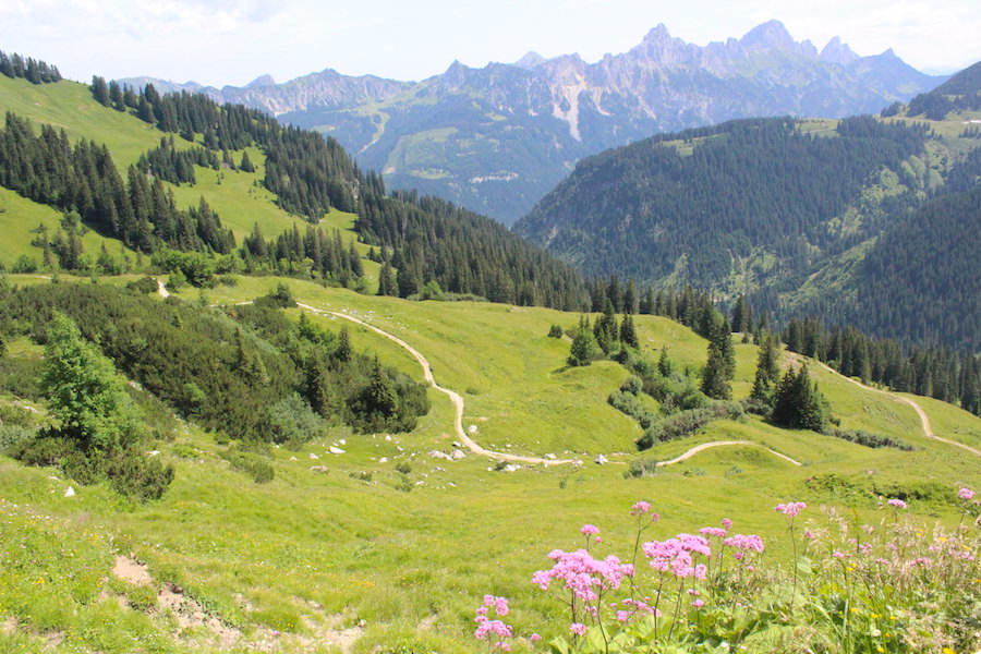 Vom Neunerköpfle zur Sulzspitze in Tirol - Wanderpanorama