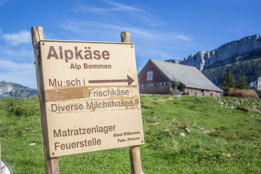 Wandern in den Schweizer Alpen - Alpkäse