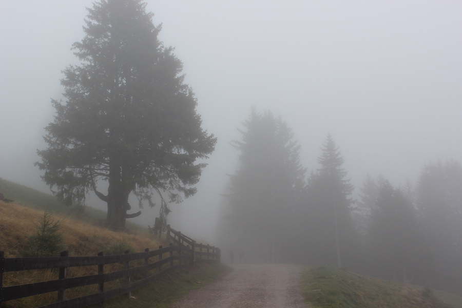 Wandern im Nebel