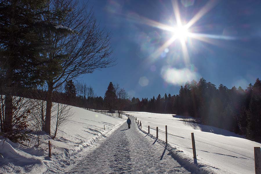 Premium Winterwanderweg Sinswang im Allgaeu - Planierter Wanderweg