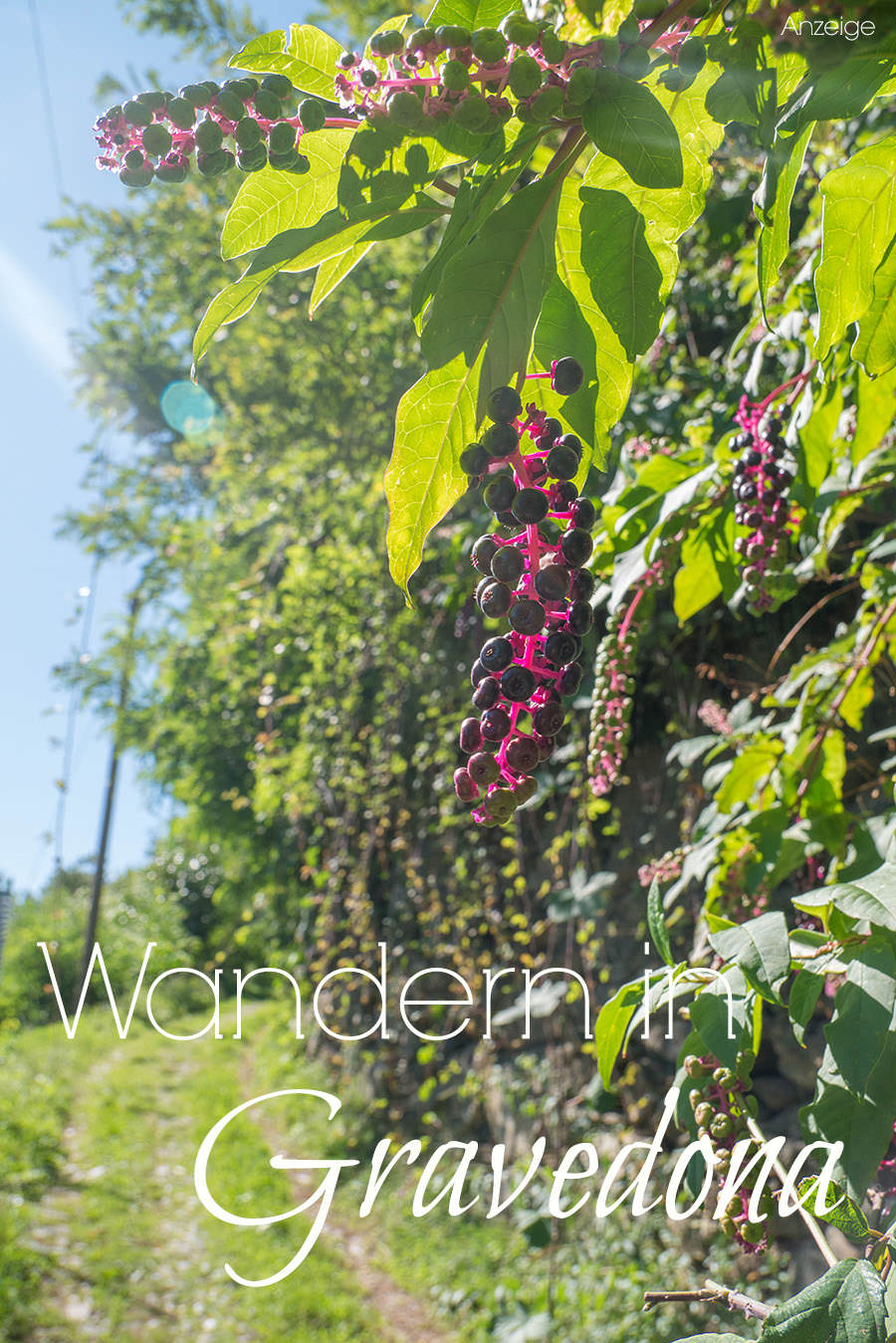 Wandern am Comer See: Gemütliche Tour von Gravedona nach Stazzona