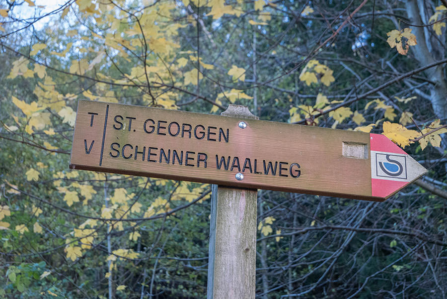 Wandern Taser in Suedtirol - Schenner Waalweg