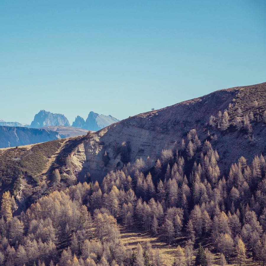 A Tasty Hike - Kulinarisches Wanderjahr 2017 - Dolomiten von Meran 2000