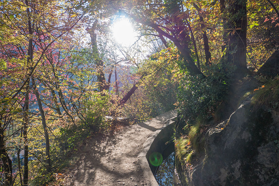 A Tasty Hike - Wandern Algunder Waalweg - Abendlicht