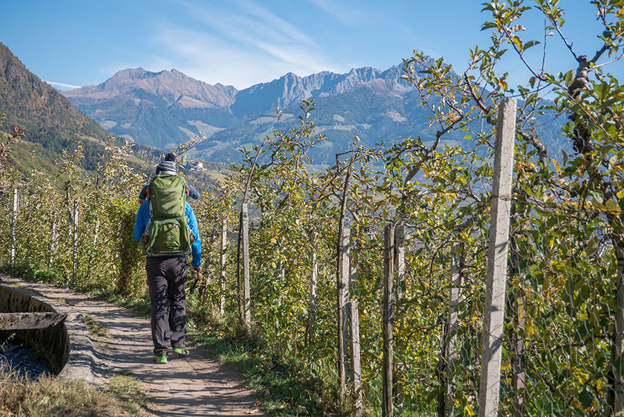 A Tasty Hike - Wandern Algunder Waalweg - Christian