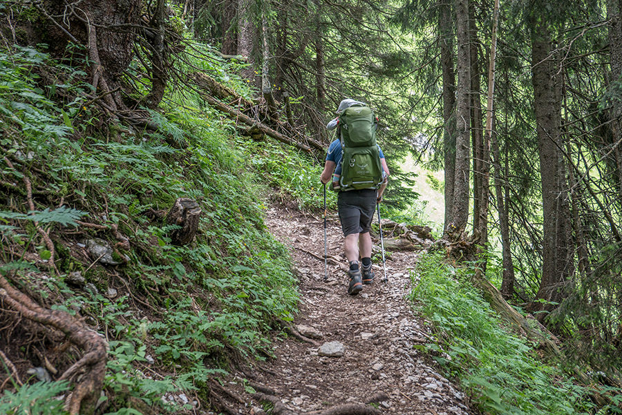 Bad Hindelang wandern - Wanderung zum Imberger Horn im Allgaeu - A Tasty Hike - Wald
