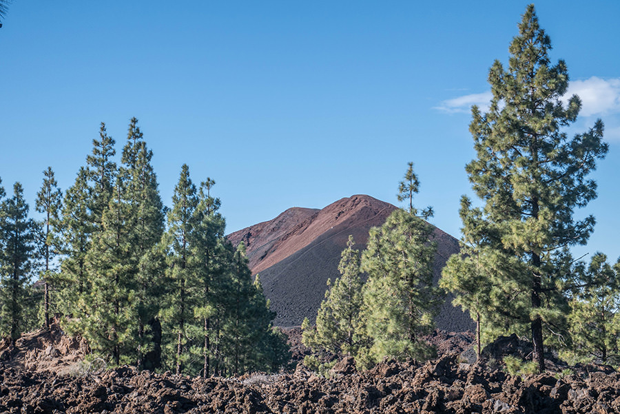 A Tasty Hike - Wandern Teneriffa - Rundwanderung Vulkan Chinyero - Ausblick vom hoechsten Punkt