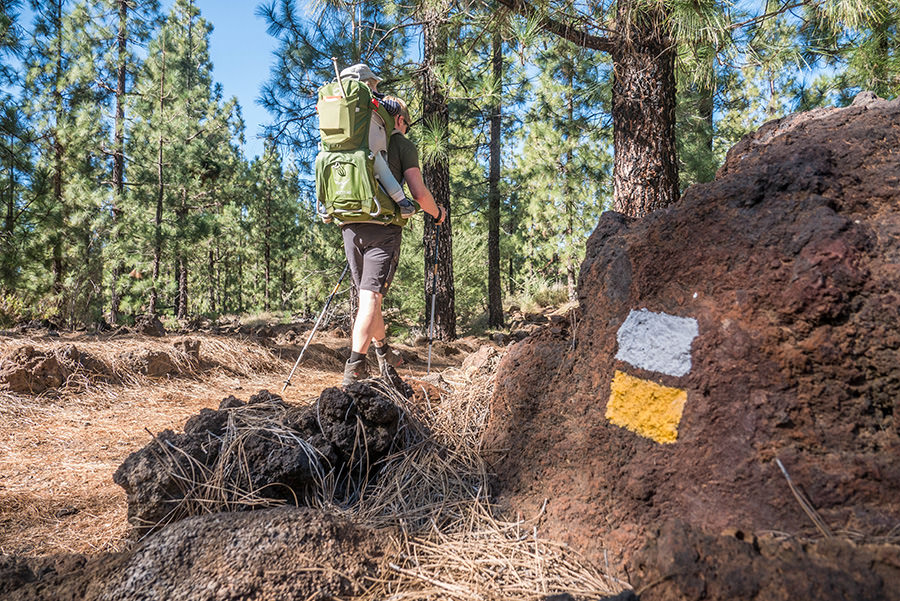 A Tasty Hike - Wandern Teneriffa - Rundwanderung Vulkan Chinyero - Wanderweg