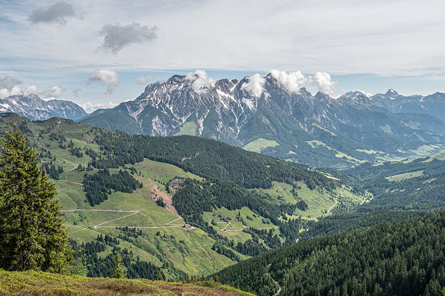 Saalbach Hinterglemm Sommer - Wanderung vom Kohlmaiskopf zur Wildenkarhuette - A Tasty Hike - Aussicht Kohlmais