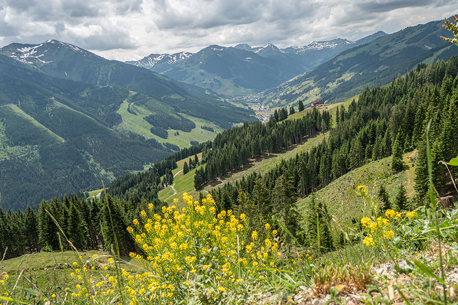 Saalbach Hinterglemm Sommer - Wanderung vom Kohlmaiskopf zur Wildenkarhuette - A Tasty Hike - Aussicht Tal