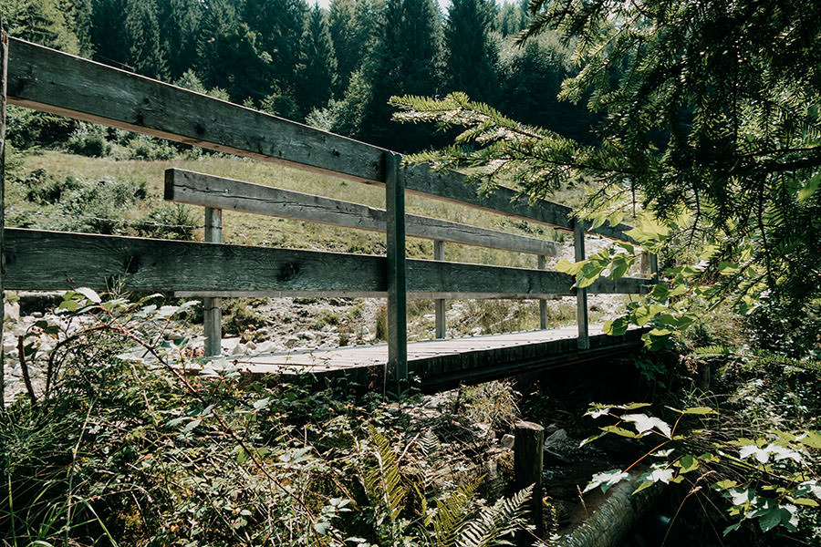 A Tasty Hike - Gruenten Wandern - Lustiger Wanderweg Allgaeu - Bruecke