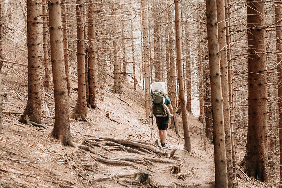 A Tasty Hike - Gruenten Wandern - Lustiger Wanderweg Allgaeu - romantischer Felsenwald