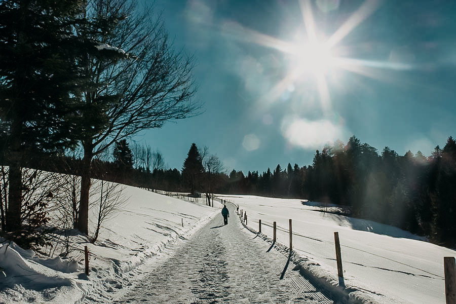 A Tasty Hike - Wandern im Winter - Premiumwanderweg - Allgaeu