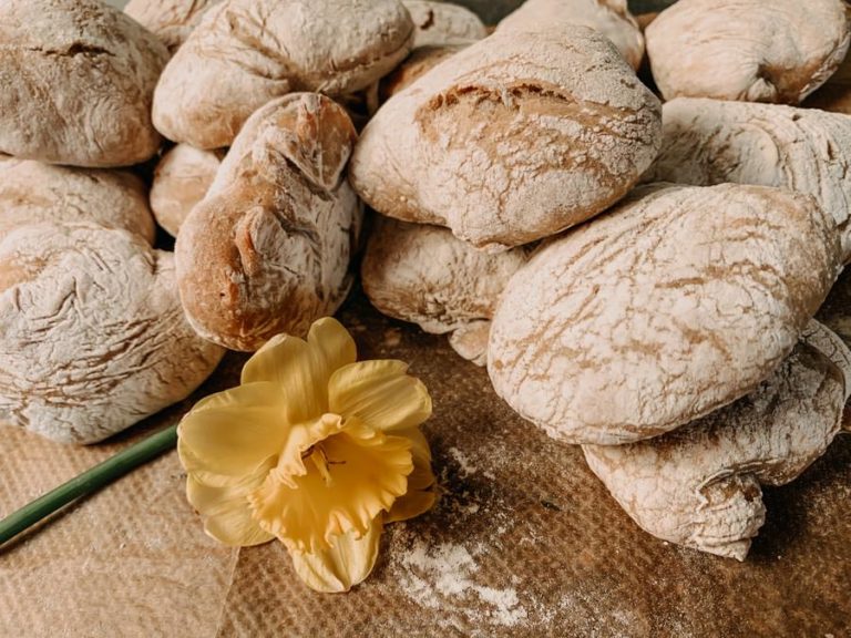 Brötchen wie vom Bäcker in Südtirol – Rezept zum Selbermachen