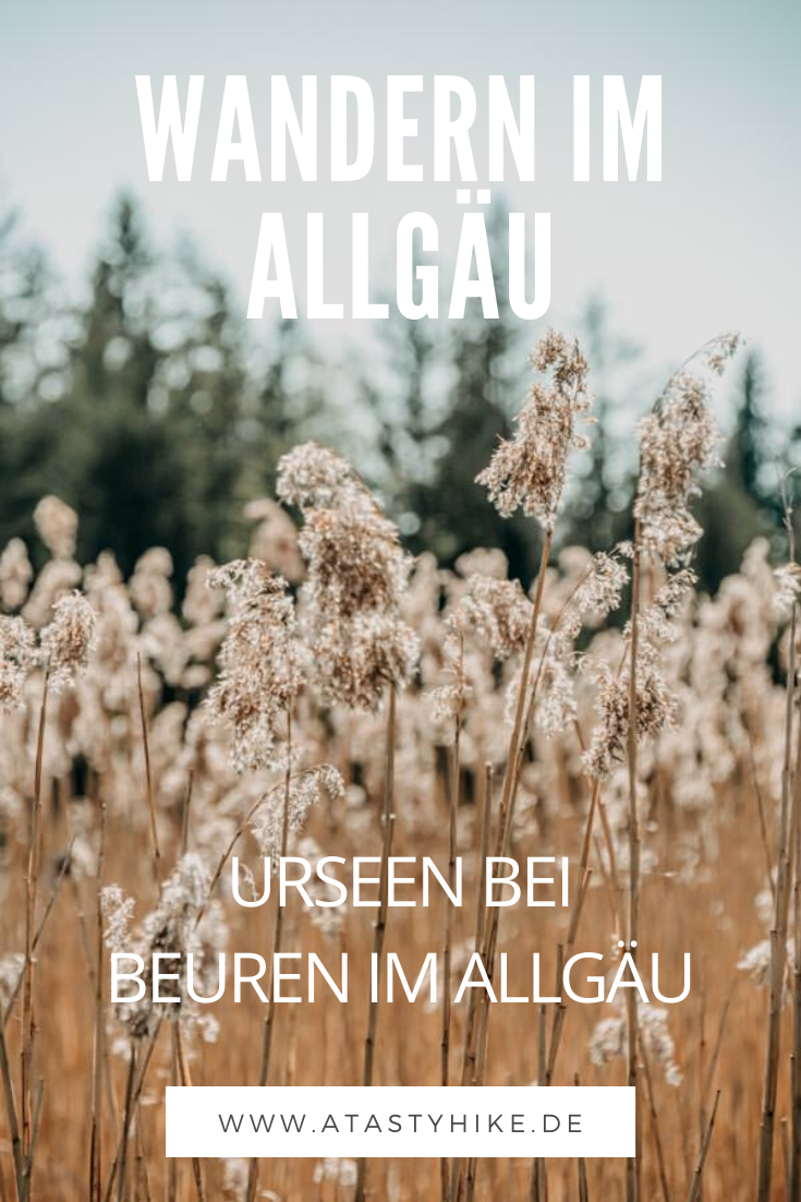 Verwunschener Märchenwald inklusive: Gemütliche Wanderung bei den Urseen in Beuren im Allgäu