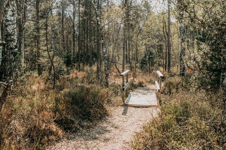 Wanderung Urseen bei Beuren im Allgaeu – Maerchenwald