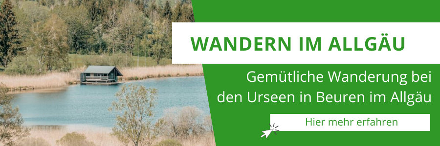 Verwunschener Märchenwald inklusive: Gemütliche Wanderung bei den Urseen in Beuren im Allgäu