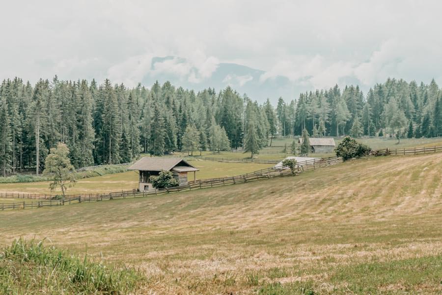 Wanderung zur Leadner Alm am Tschögglberg bei Hafling in