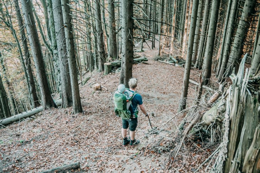 Wanderung Sennalpe Derb bei und Oberberg im Allgaeu – Abstieg Wald