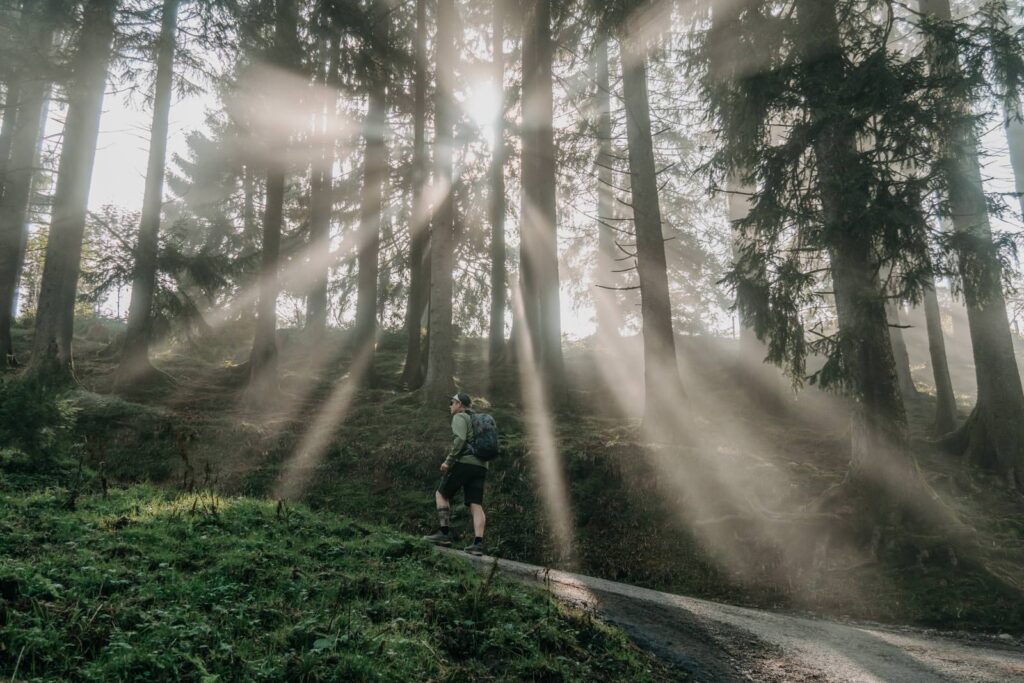 Wandern im Nebel