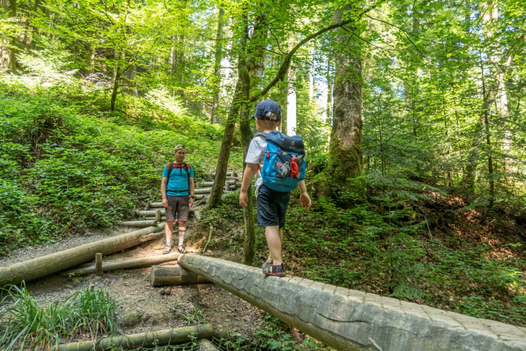Scheidegger Wasserfälle Allgäu Wanderung