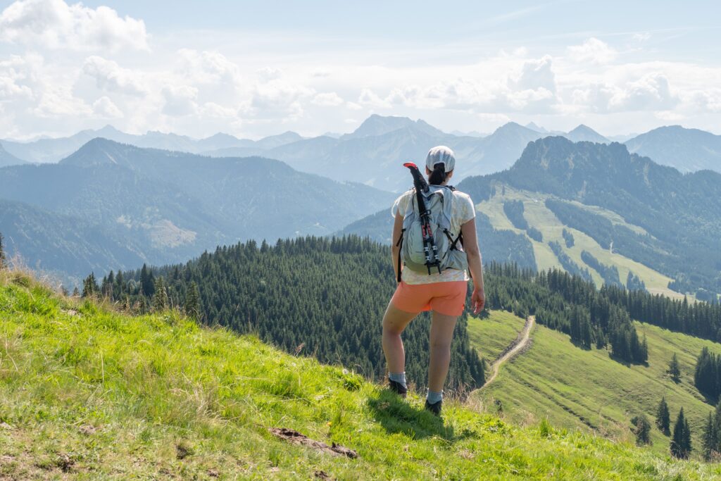 04_Allgäuer Alpen Panoramajpeg