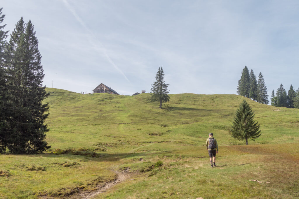 06_BU Aufstieg zur Sennalpe Mittelberg