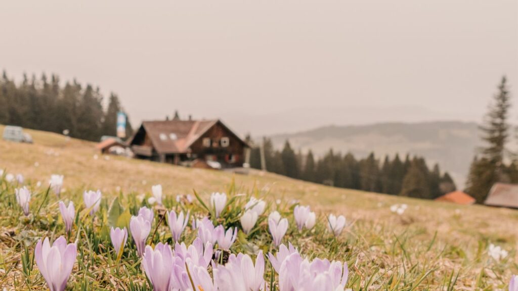 Neumayr Hütte Wandern Allgäu